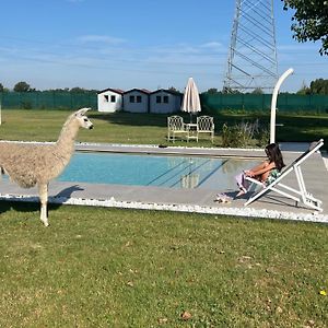 Villa Iris